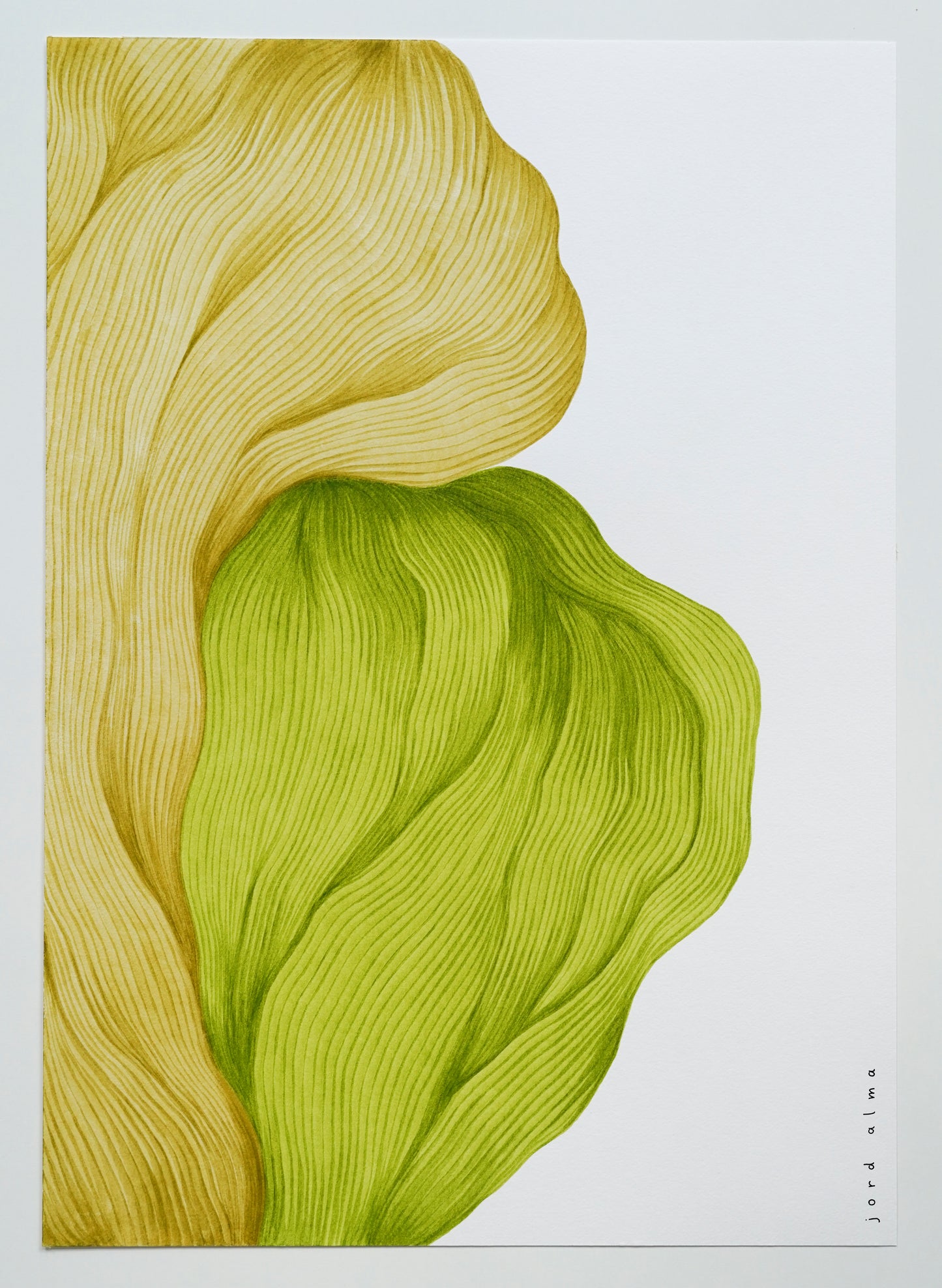 Original marker drawing (A2)
