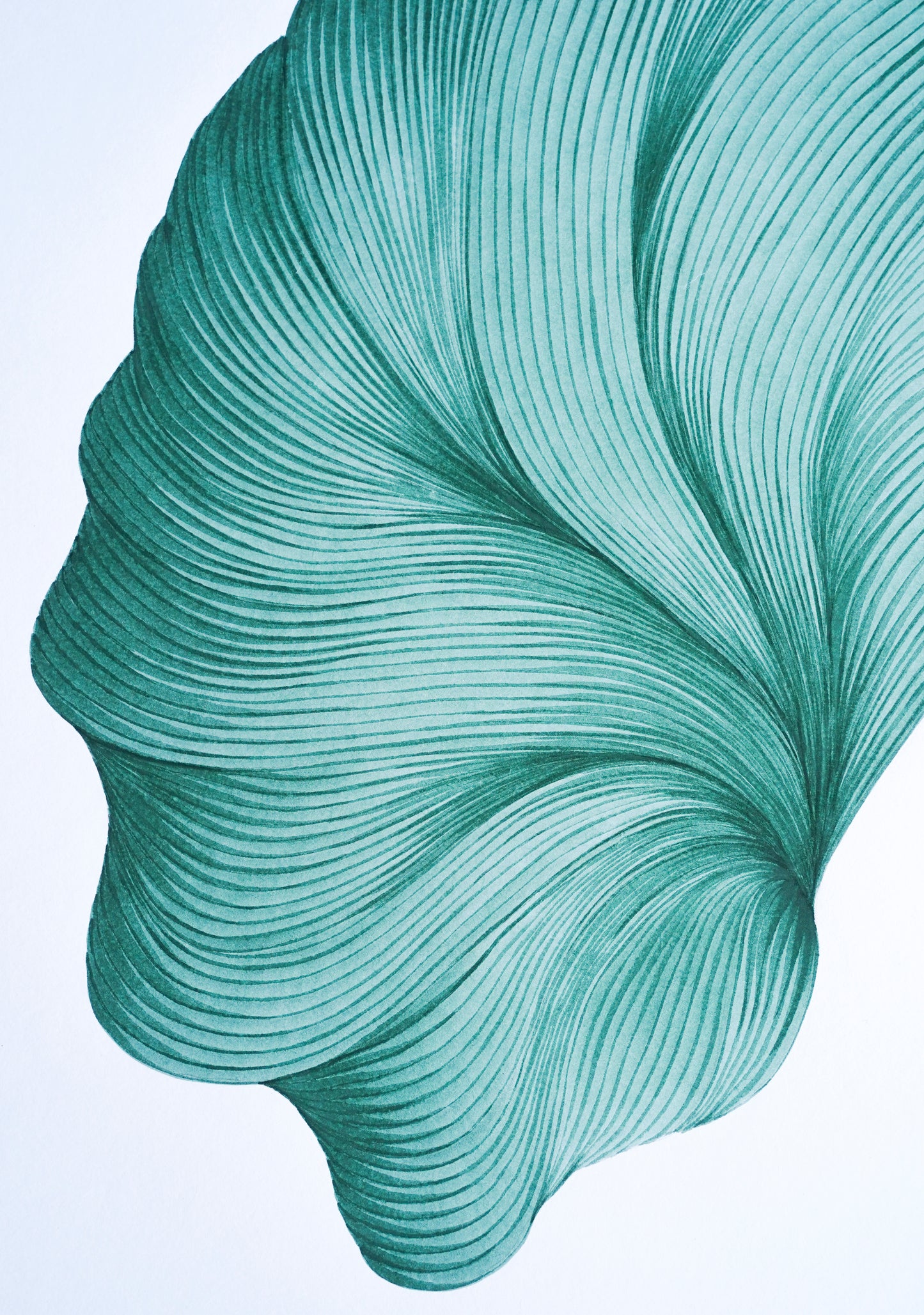 Original marker drawing (50*70cm)