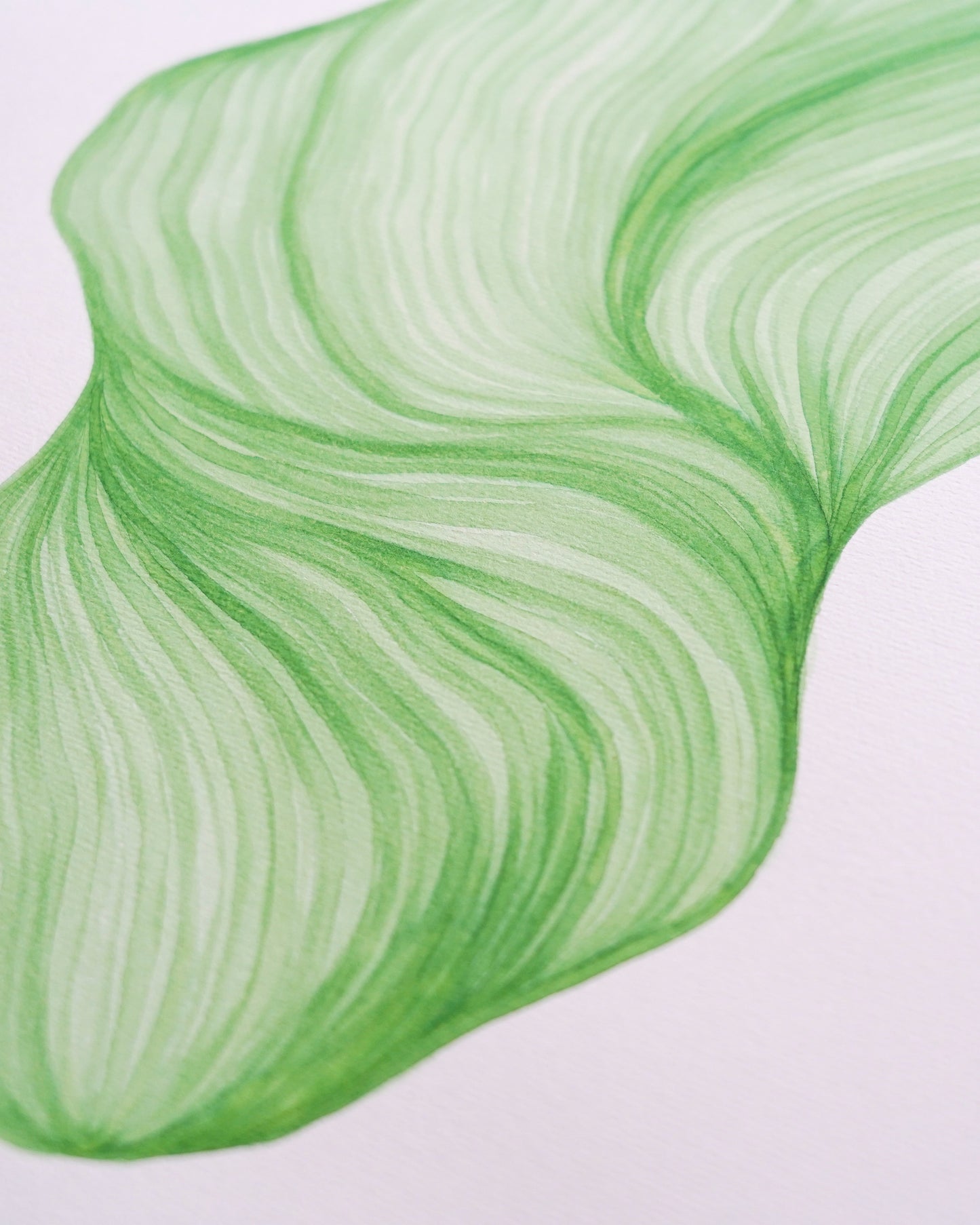 Original marker drawing (A3)