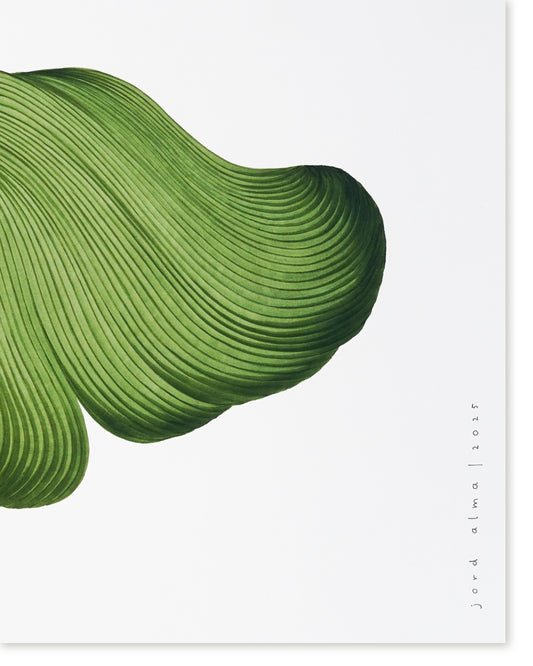 Original marker drawing (60*50cm)