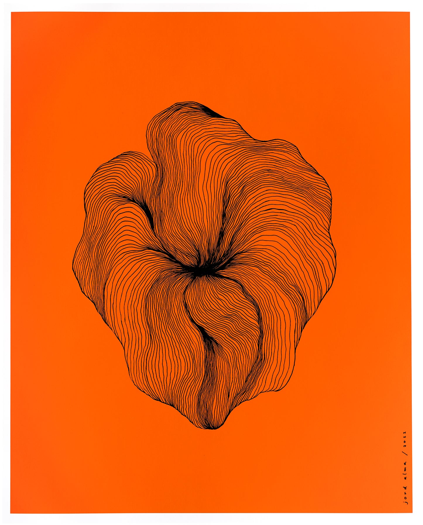 Original pen drawing 40x50cm